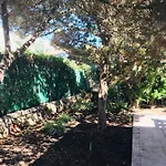 Ses Sivines Cala'N Blanes (Menorca)